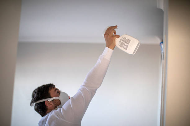 Best Emergency Mold Remediation in Johnston, SC